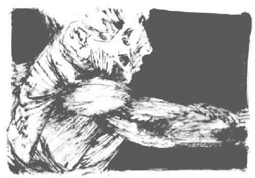 anatomie épaule