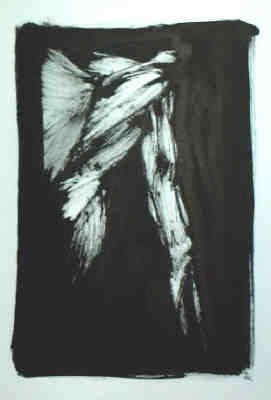 anatomie paule