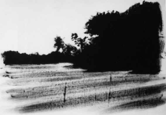 paysage