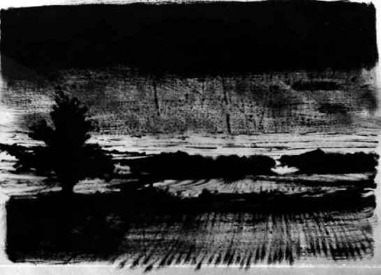paysage