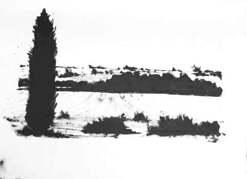 paysage