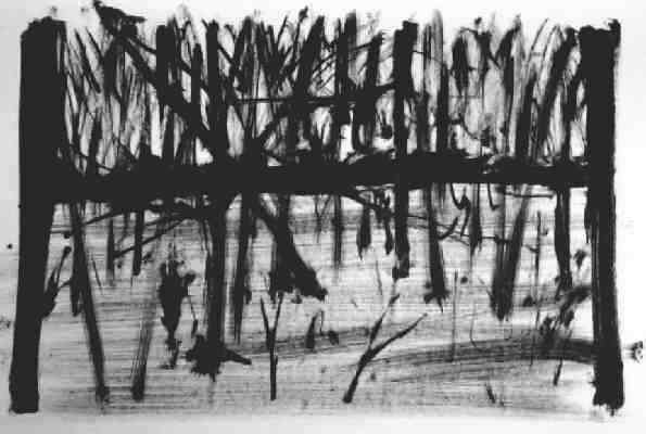 paysage