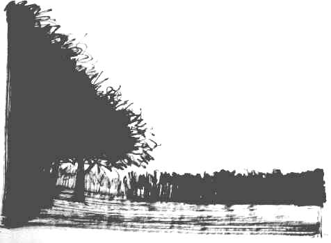paysage