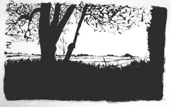 paysage