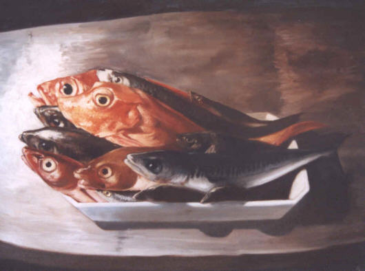 poissons disparition, peche