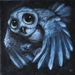 Chouette bleue
