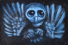 Chouette bleue