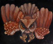 la chouette