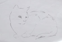 chat