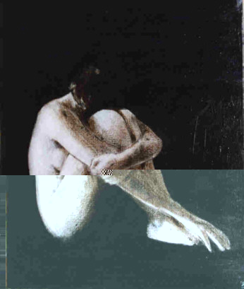 foetus