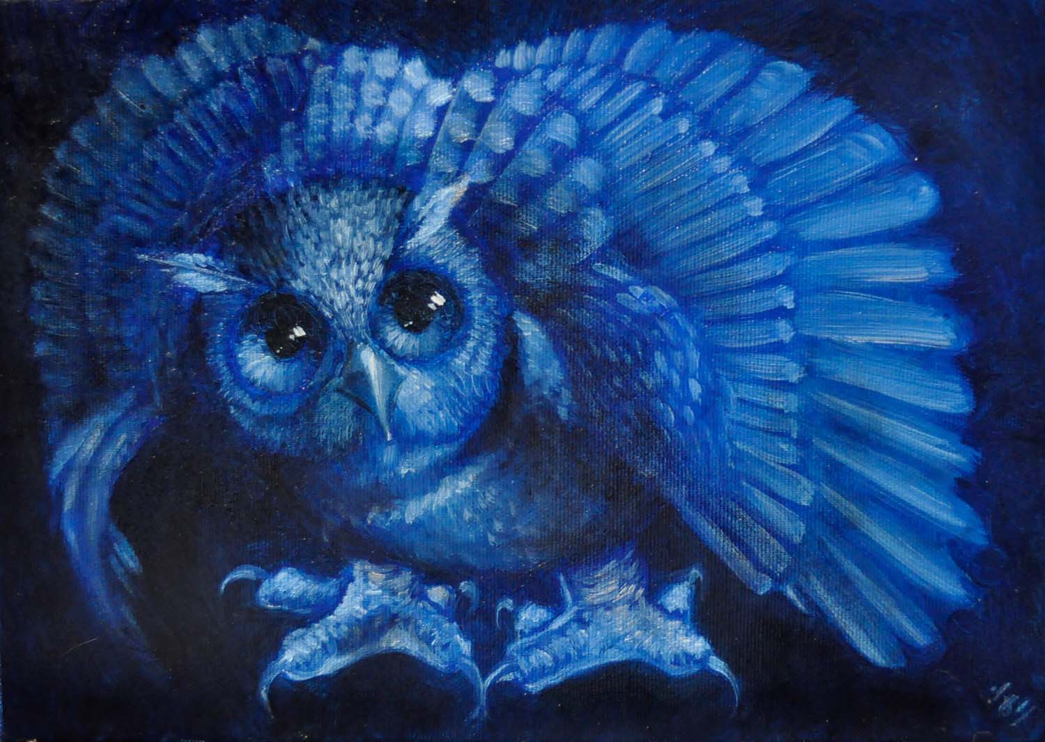 Un hibou bleu foncé sur un ciel noir. Il écarte les ailes en les gonflant, dans une posture d'intimidation et regarde le spectateur avec étonnement et colère. Ses serres sont épaisses et armées de longues griffes.