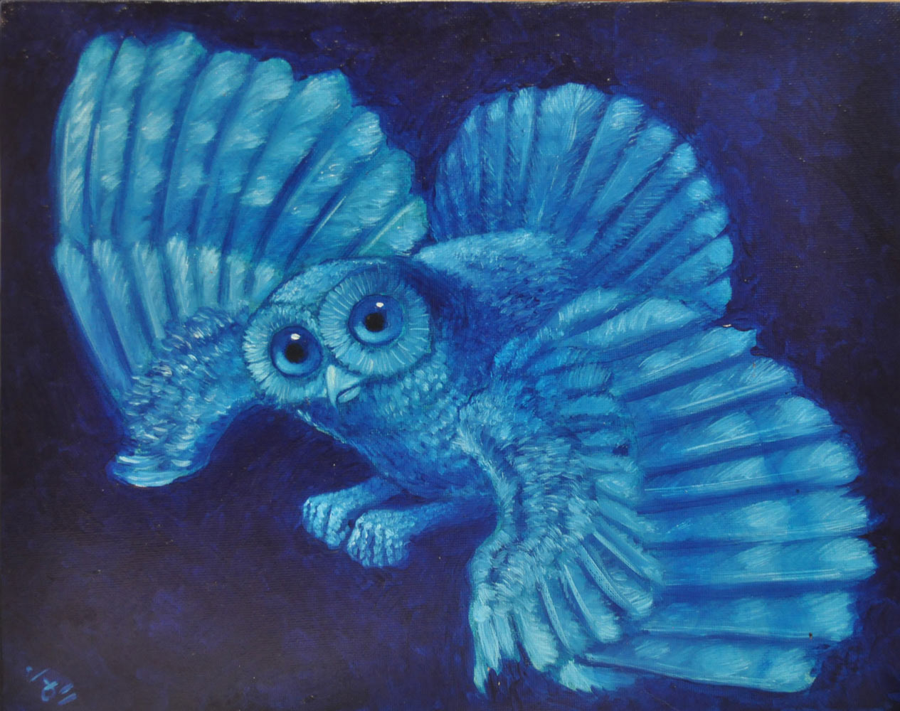 Un hibou bleu.