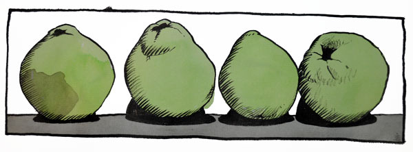  monde n°17