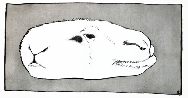  monde n°18