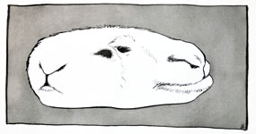 Un monde
