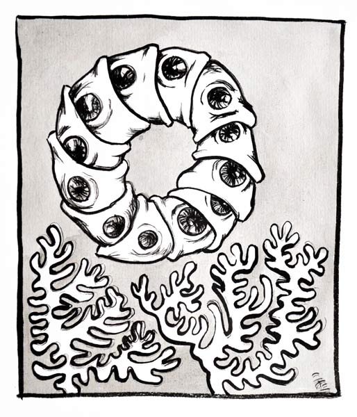 un monde n°47
