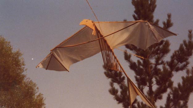 oiseau de bois