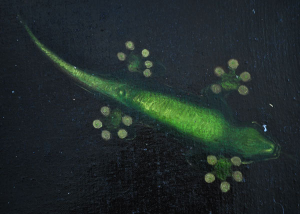 détail
