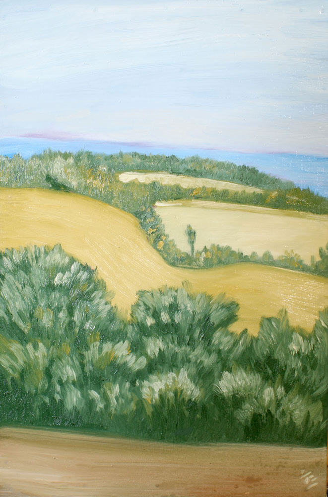 Un paysage.