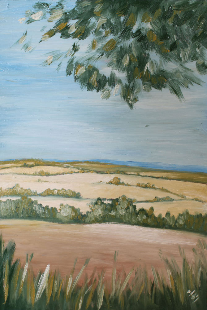 Un paysage.
