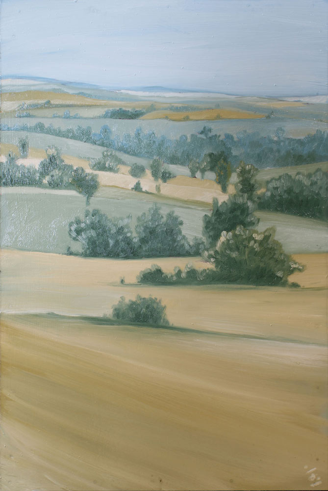 Un paysage.