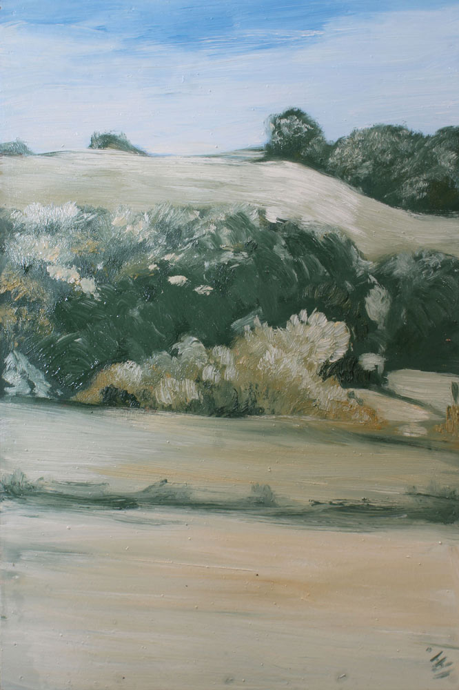 Un paysage.