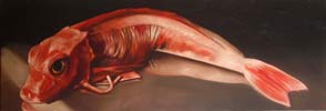 anamorphose