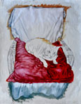 le réveil du chat