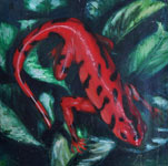 salamandre