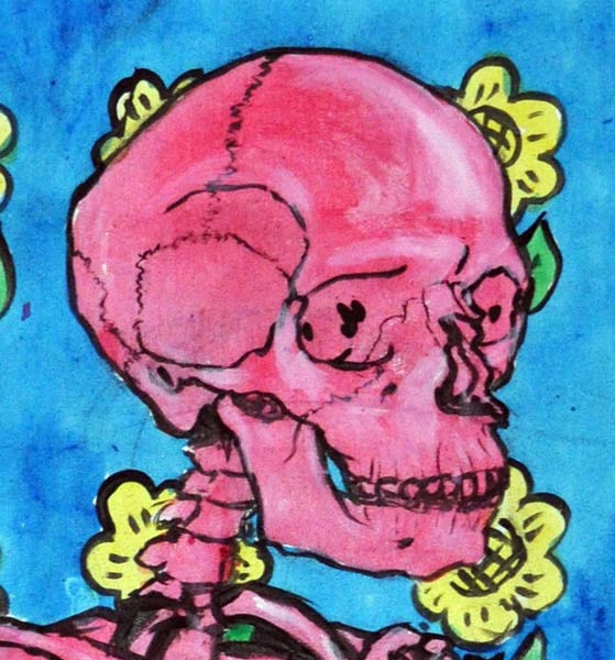 Tête du squelette. On voit clairement les lignes de sutures des os du crâne.