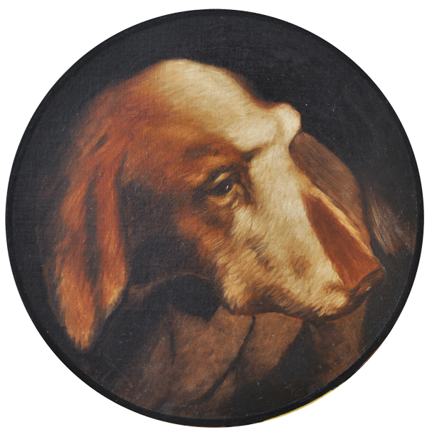 un chien de Saint-Sauvy