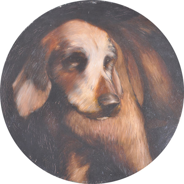 un chien de Saint-Sauvy