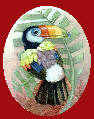 toucan
