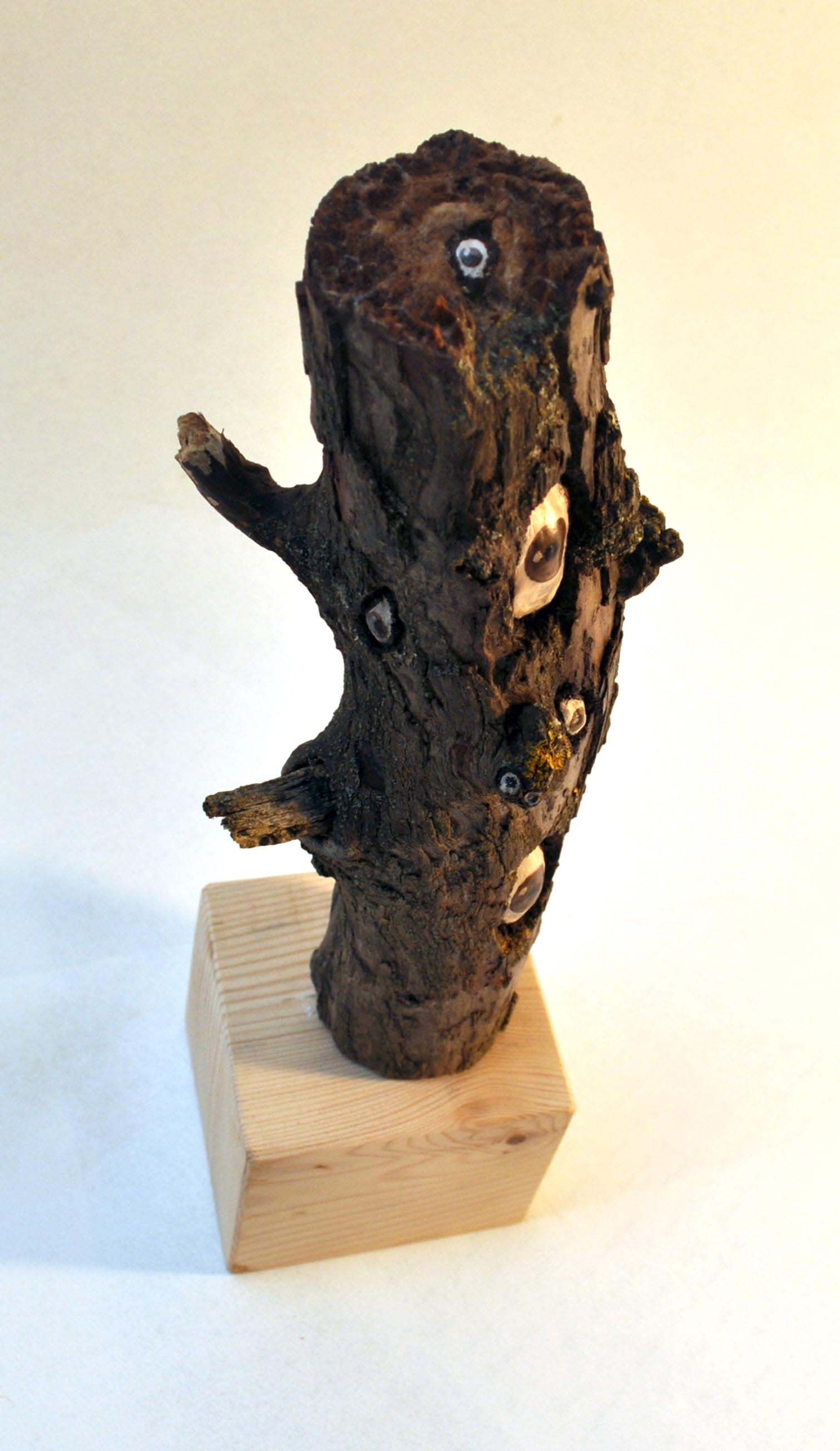 Un morceau d'arbre, deux petites branches tronquées. Dans les trous du bois, des yeux regardent au-dehors.